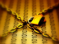 企業(yè)安全實踐:數(shù)據(jù)安全需更多調(diào)查措施