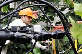 電力菁英服務(wù)上?！皠?chuàng)意產(chǎn)業(yè)”發(fā)展