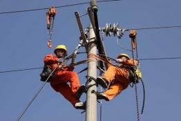 加快推進(jìn)農(nóng)村線路絕緣化改造