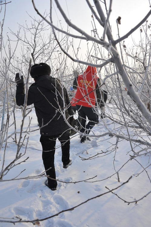 QQ圖片20131029102909