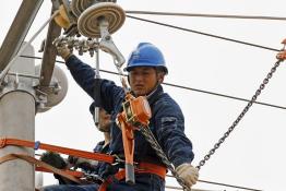 加快線(xiàn)路改造 備戰(zhàn)迎峰度夏