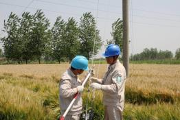 服務(wù)“三夏”保供電