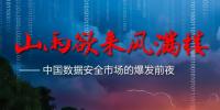 山雨欲來：中國(guó)數(shù)據(jù)安全市場(chǎng)的爆發(fā)前夜
