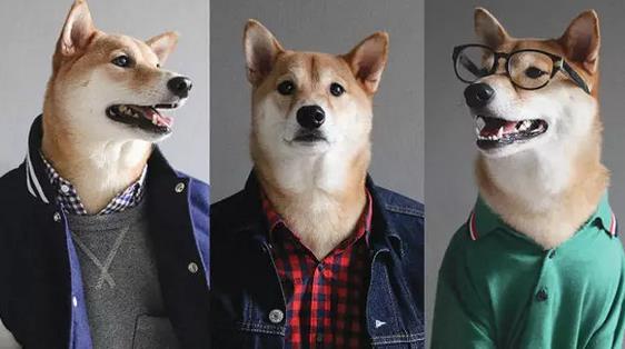 離開華爾街后，他創(chuàng)立了最懂男人的購(gòu)衣平臺(tái)“垂衣”，估值已數(shù)千萬(wàn)！