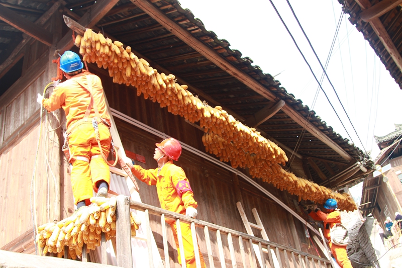 雷山之變：一個縣局的精益化之路