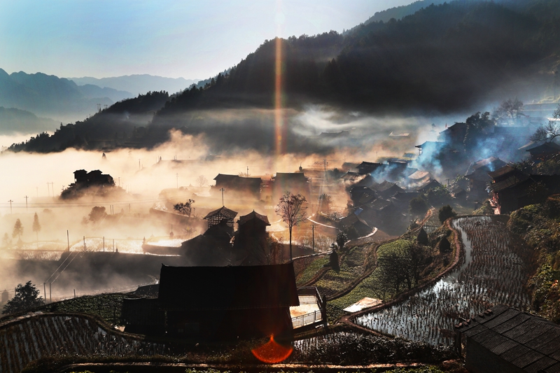 每月抄表例日后臺集中發(fā)行集抄電量