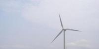 中國將繼續(xù)引領風能發(fā)電<font color=