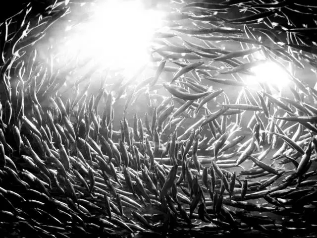 售電公司怎么用流量思維賺錢！