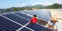 真相大白：光伏真的躺著都能賺錢？
