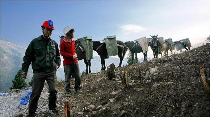 穿行在林間的騾馬運(yùn)輸隊(duì)