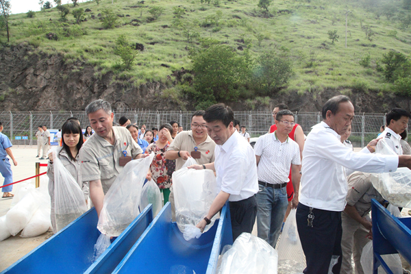 W020170831618641303790