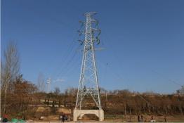 大雁頭上過(guò) 電網(wǎng)建設(shè)忙