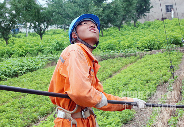 圖為東臺(tái)供電改造富安10千伏富北線