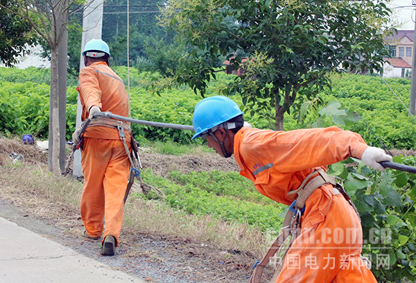 圖為東臺(tái)供電改造富安10千伏富北線