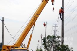 東臺(tái)供電：電網(wǎng)改造