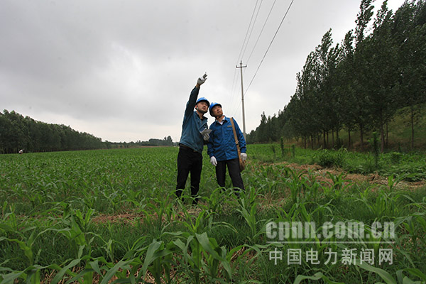 圖為員工在陳垓引黃閘巡視10千伏陳垓閘線