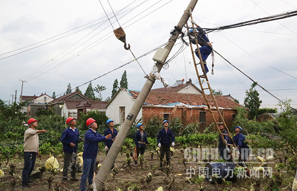 圖為抗風災保供電