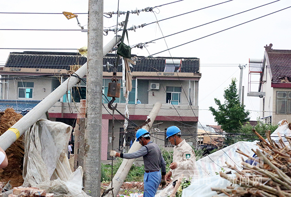 圖為抗風災保供電