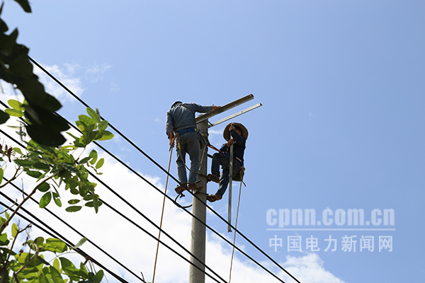 圖為空中“舞者”