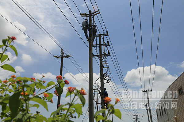 圖為空中“舞者”