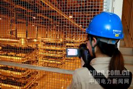 江蘇檢修：雙極低端大負(fù)荷試驗