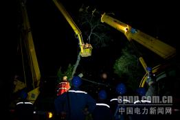 梧州供電：搶修復(fù)電