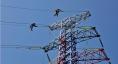 恩施供電：鏖戰(zhàn)三伏建電網