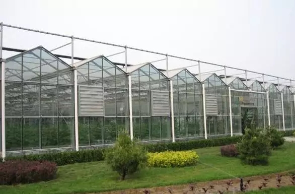 電能"雙替代"！山東去年累計(jì)節(jié)省煤炭消耗1680萬(wàn)噸