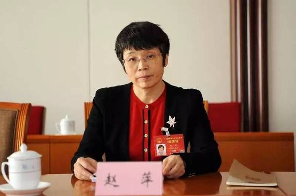 東方風(fēng)電趙萍：海上風(fēng)機(jī)大型化是趨勢，中國已落后一步