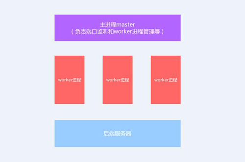 今天我們就來聊聊Nginx服務器的架構！