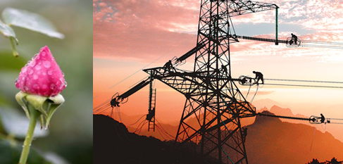 南方區(qū)跨省跨區(qū)交易，2018年會(huì)是待放的玫瑰嗎？