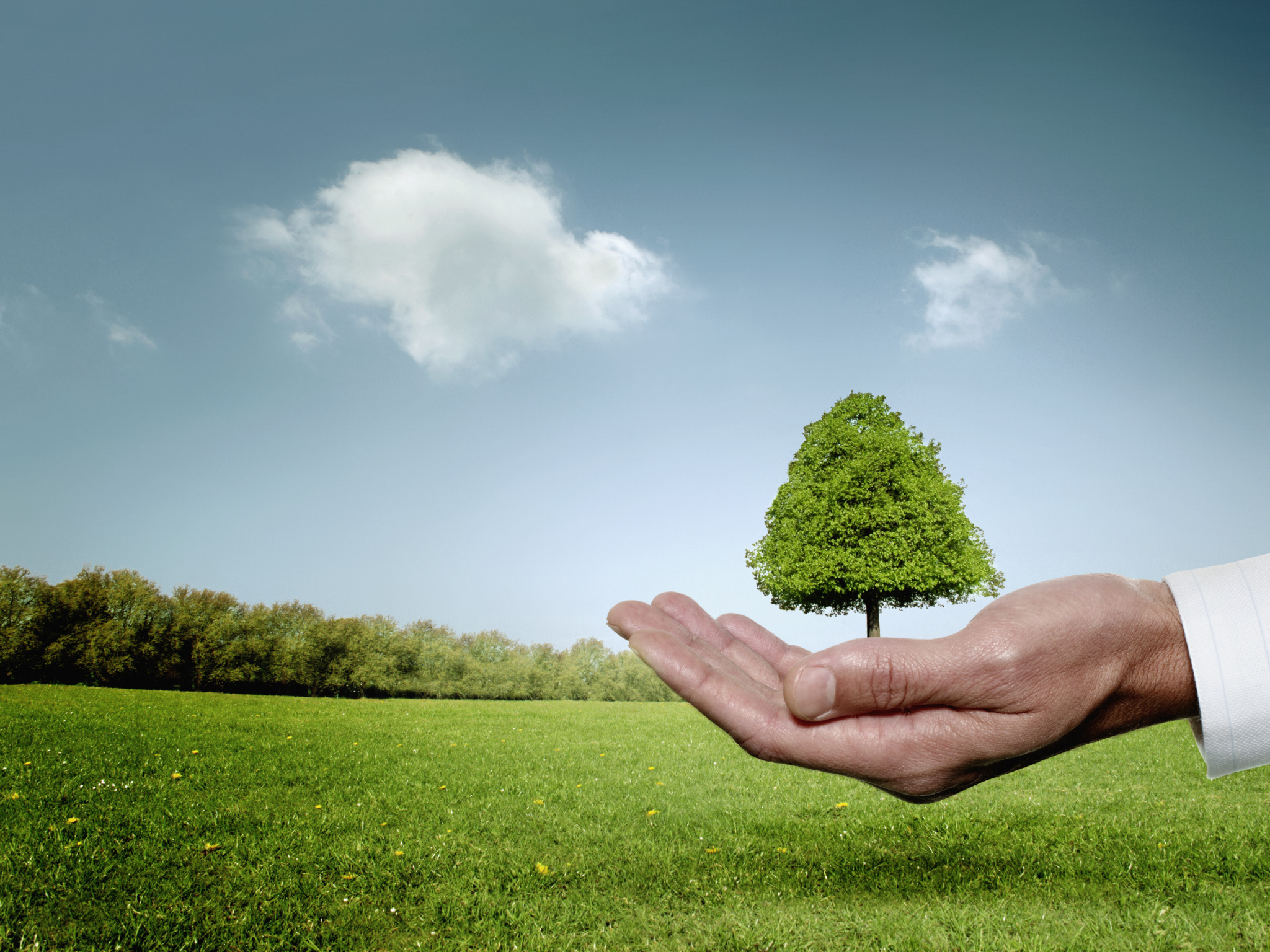 “綠證”成為新風(fēng)潮，持續(xù)發(fā)力！