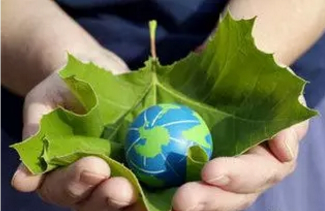 能源局:適時啟動綠證強制約束交易,提振光伏、風(fēng)電的發(fā)展