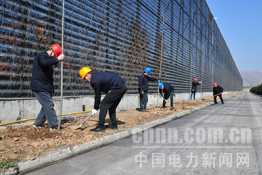 淮北發(fā)電廠：開(kāi)展主題活動(dòng)