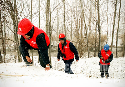 臨泉供電:踏雪巡線保供電