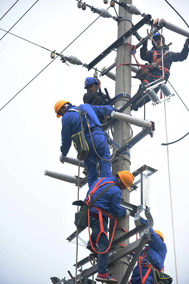 靈川供電線路專(zhuān)項(xiàng)整治確保新春用電