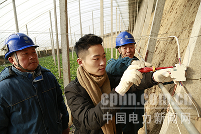淄博供電:服務特色農業(yè)