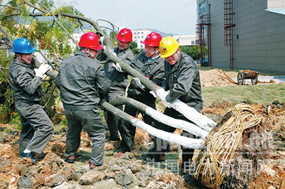 浙能溫州發(fā)電:播種綠色