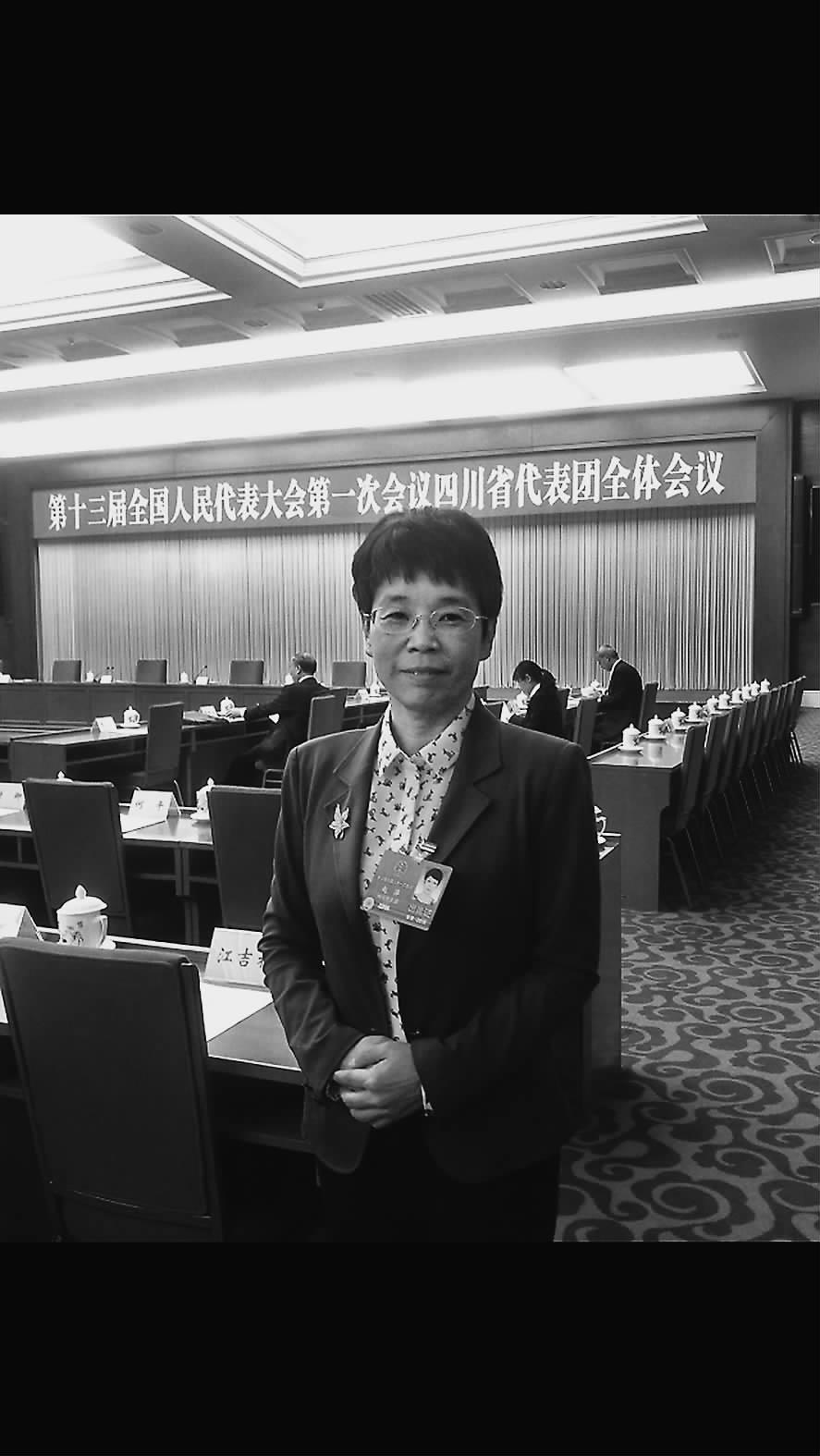 東方電氣研發(fā)部主任工程師趙萍：系統(tǒng)降本促風(fēng)電高質(zhì)量開(kāi)發(fā)