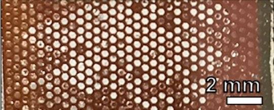 新式太陽(yáng)能電池——昆蟲(chóng)復(fù)眼