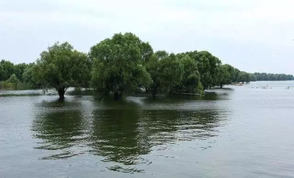 湖南連發(fā)兩道“總河長令”：整治洞庭湖排污源，保護(hù)飲用水源