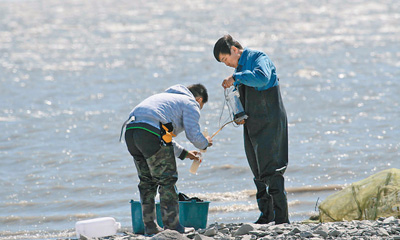 呼倫湖蓄水量由最低時的40億立方米恢復(fù)到112億立方米