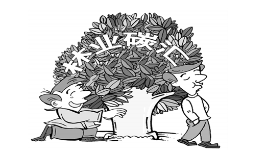 林業(yè)碳匯CCER項(xiàng)目如何參與碳交易獲得補(bǔ)貼來(lái)賺錢