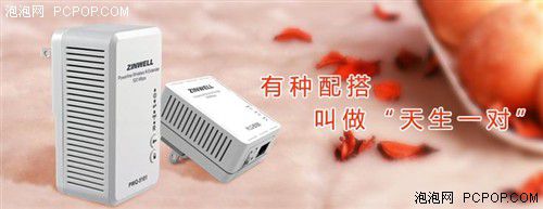 電力貓的版本眾多，從電力線傳輸技術(shù)上就可以分為HomePlug和G.hn，采用相同電力線通信技術(shù)的電力貓還可以分為有線電力貓和無線電力貓，而在無線電力貓中還有無線AP和無線路由的區(qū)別。外觀功能上的區(qū)別就更大了，以ZINWELL為例，就先后推出了單口有線電力貓，帶電源延長線的電力貓，多口有線電力貓，電力貓無線路由器，無線AP電力貓，帶電源插座的電力貓等。