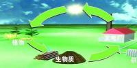 生物質(zhì)是替代核電、火電 彌補(bǔ)天然氣缺口的一種重要新能源