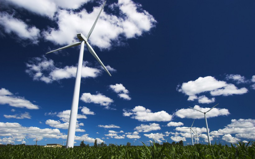 大云網(wǎng)售電商學(xué)院：風(fēng)電發(fā)展不可忽視的重要環(huán)節(jié)--  風(fēng)電生態(tài)環(huán)境需維護