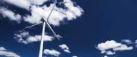 大云網(wǎng)售電商學(xué)院：風(fēng)電發(fā)展不可忽視的重要環(huán)節(jié)--  風(fēng)電生態(tài)環(huán)境需維護