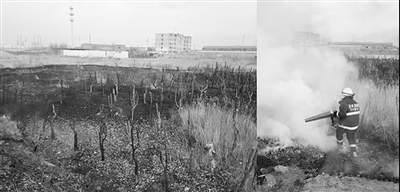 滄州熱點(diǎn)網(wǎng)格推進(jìn)精準(zhǔn)治氣