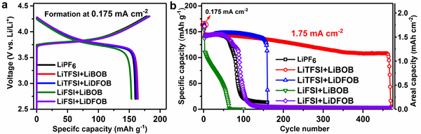 專題報道：Imide-Orthoborate雙鹽電解質(zhì)體系抑制鋰枝晶及提升鋰金屬庫侖效率的研究