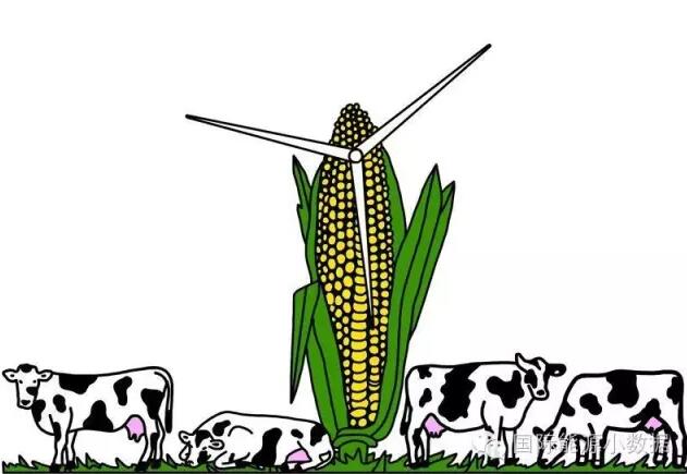 美國(guó)“風(fēng)電扶貧”：70%風(fēng)電場(chǎng)建在低收入地區(qū)